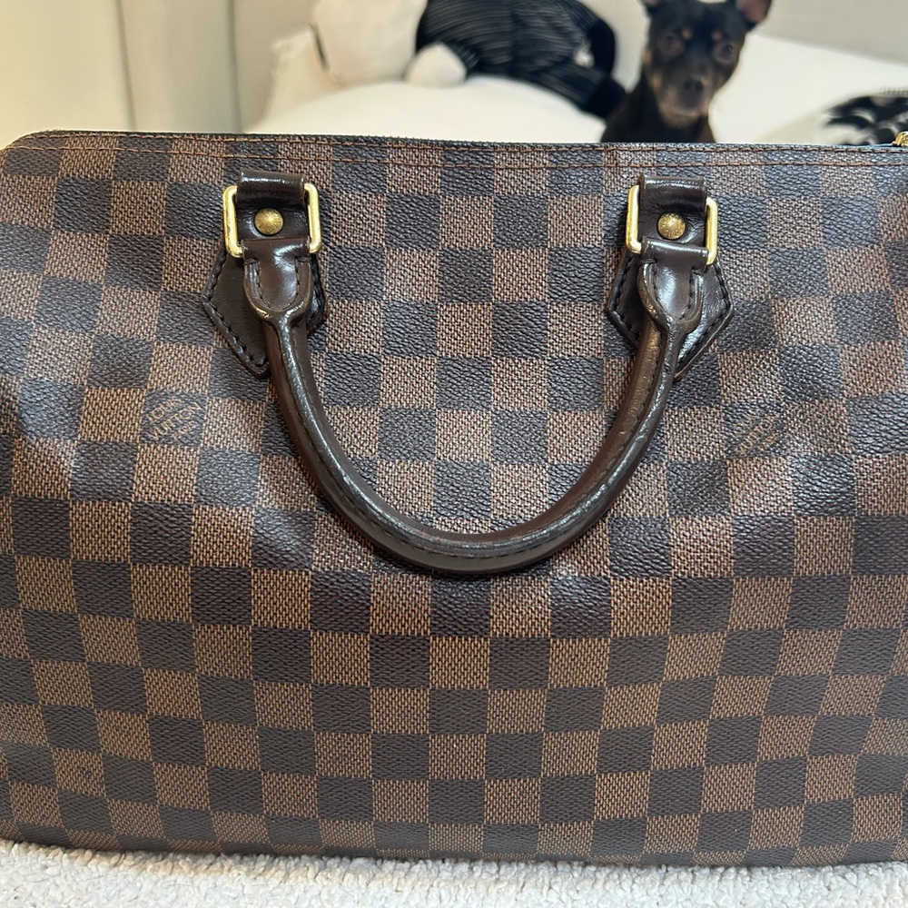 Louis Vuitton Damier Speedy 30
